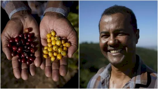 Gente do campo: agricultor compra fazenda que trabalhou na infância e muda vida da família com café especial