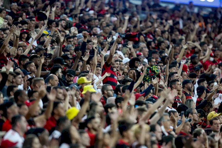 Flamengo se mantém líder na média de público em 2022, e São Paulo desbanca Palmeiras; confira