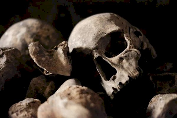 Klinefelter: cientistas acham esqueleto de mil anos com doença rara