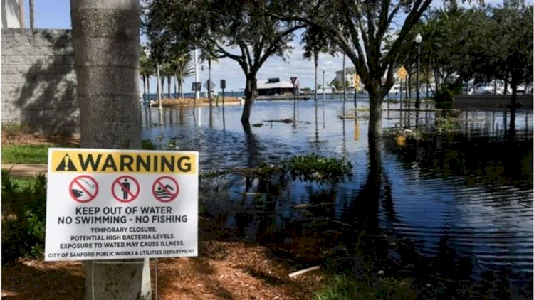 Infecção por bactéria 'comedora de carne' se alastra na Flórida após furacão Ian
