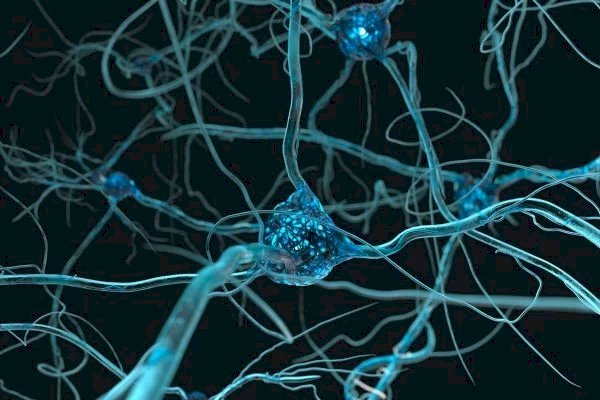 Cientistas acham provável gatilho para a esclerose lateral amiotrófica