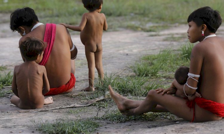 IBGE inicia última etapa do Censo 2022 na Terra Indígena Yanomami